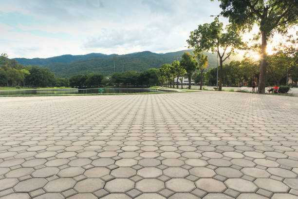 Best Concrete Paver Driveway  in Belle Plaine, IA
